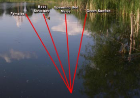 General locations of panfish in ponds