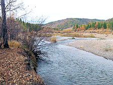 Trout Stream in Mongolia