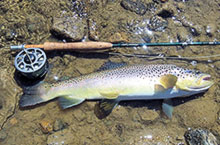 Picture of a mid arbor fly reel